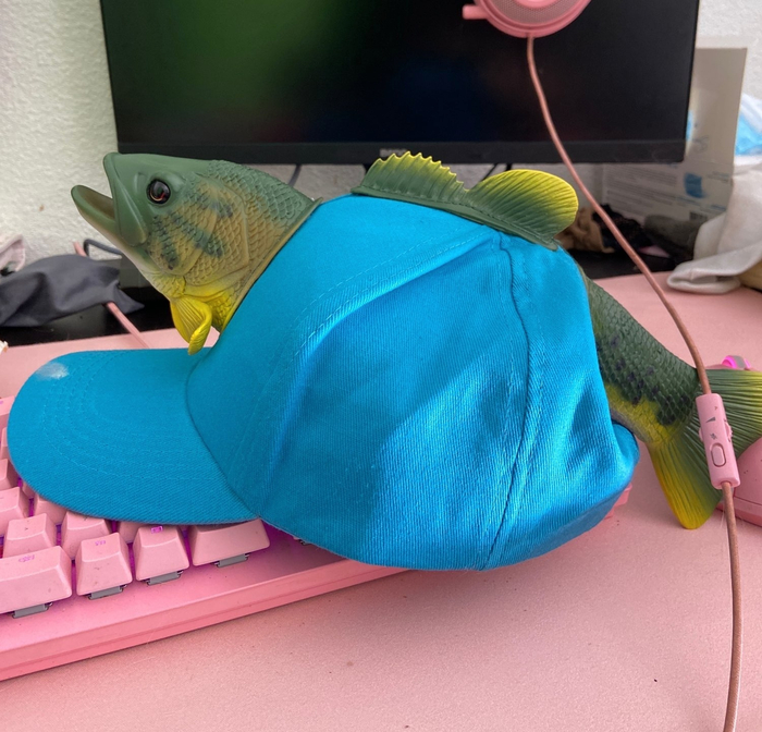 ����� ��� �������?