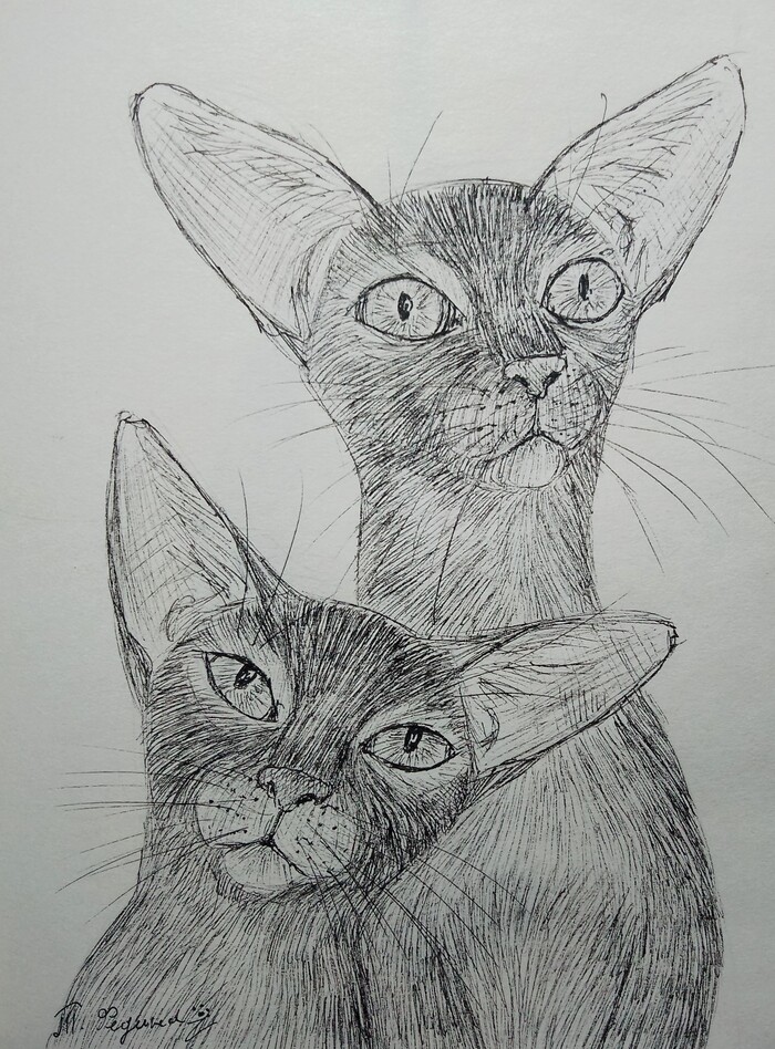 ����������� �����