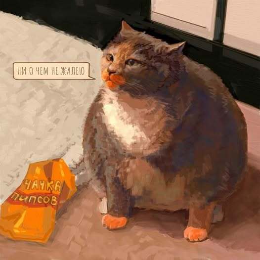 ������ ���������