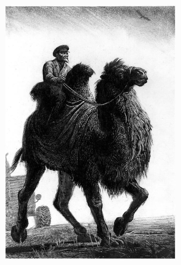 �������� �� ����� ������� ��������� �� ������ ���� ������ �����