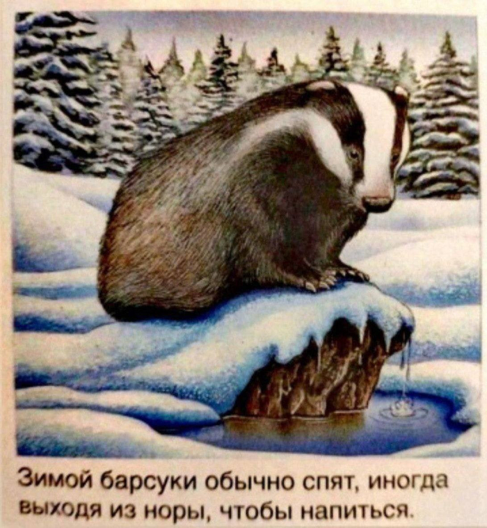 ������, � � ��� ������ ���� ������...