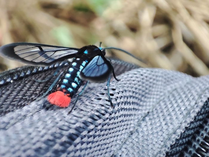 ������ ������������ ��������� �������� �� ���� �������