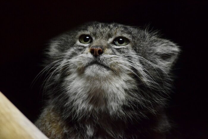 ��������� �����...