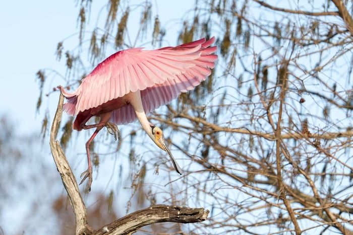 �������, ���. ������� ������� �� ������� ������� � ������ ��������, �������� ������. ����������: ����� ������.