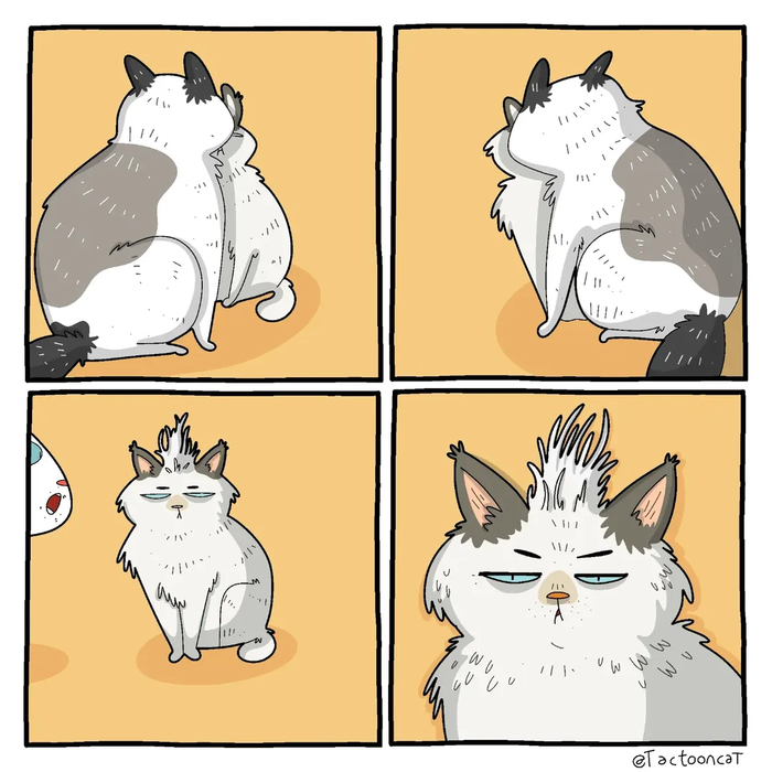 �� ��� ���� ����������