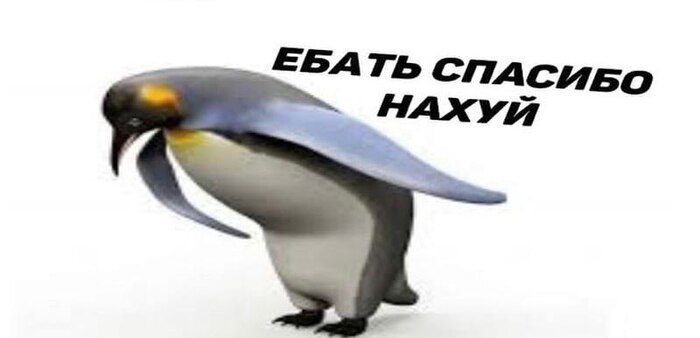 ������� ���� �������!!!!