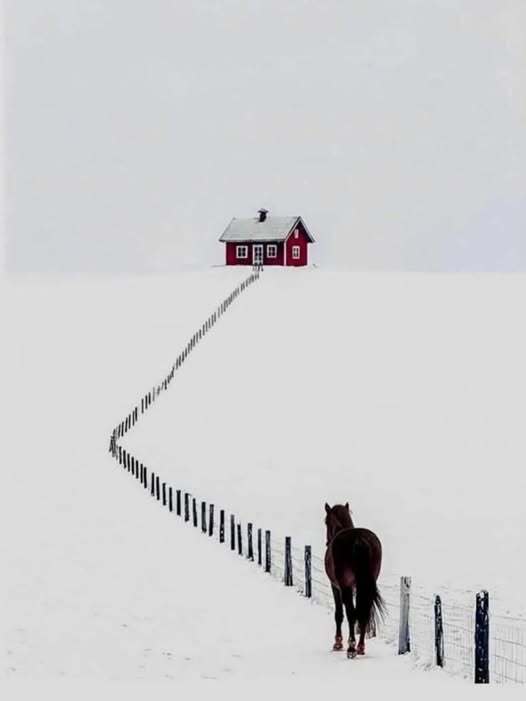 ���� ��� ����