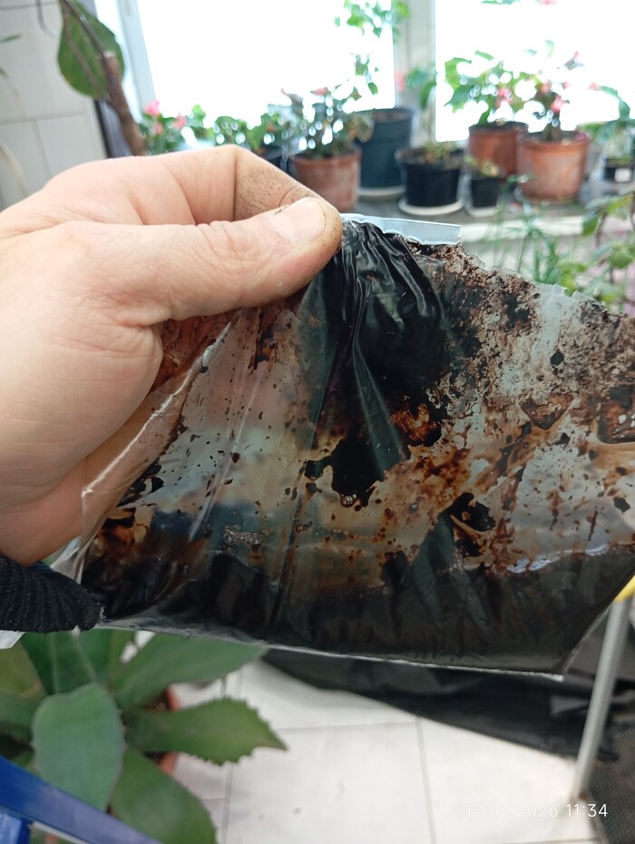 ������� ��������, ������, ���� �� ����������