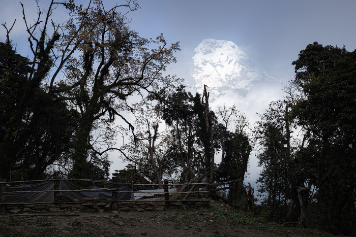 �������� ����������� ���������, � �� ���� � �������������� ����.