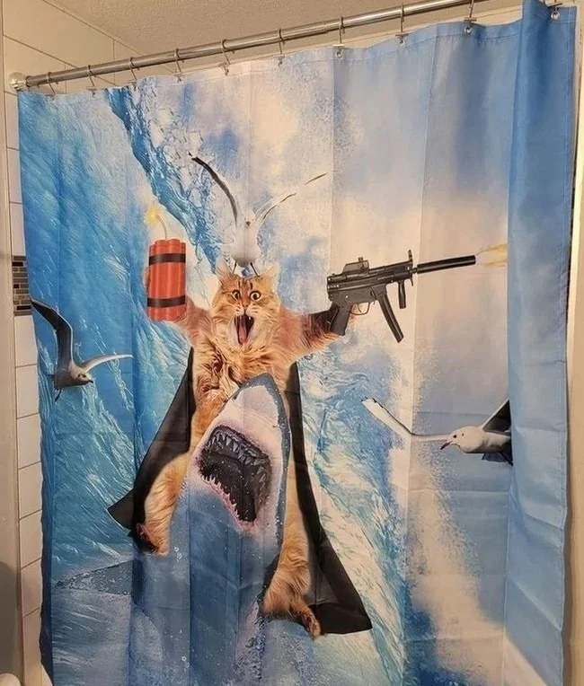 ����� �� ���� ���������...�