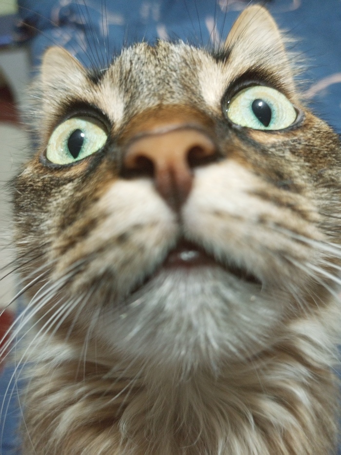 ���� ������! � ���� ������ �������� � ������� � ���� ������� ����� �� ���� � ����!