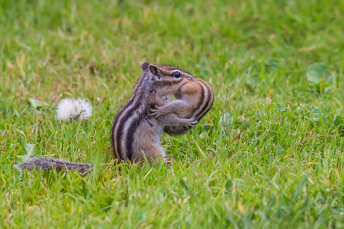 ���� ����������� ��������� ������ ������������. ������� ������ ���� � ��������� ������� ������. ����� ����� ��������, ���� ���� ������� ��������� � ����� ������, � ��������� ���������� �������� � ����� ����, ��� �������� ����� �����.