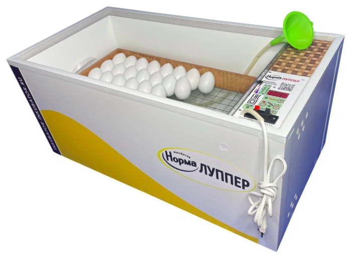 �������, � ��� ���� ����������� �������, � ���� ����� ����������, ��� �������� ���� �� ����� ������������� ����� ������ ������ � �����������, �� � ��� �������� � ����� ���. ����������� � ���������� ����������� � ��������� (����������)