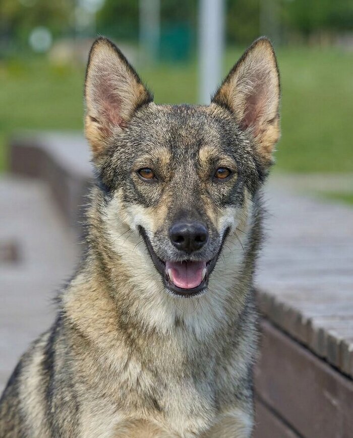 ���� - ����������� �������, � ����� ������ �������