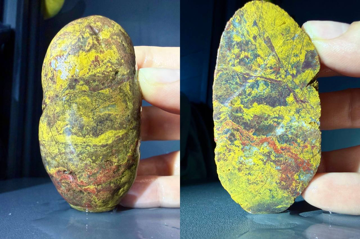 ������������ ����