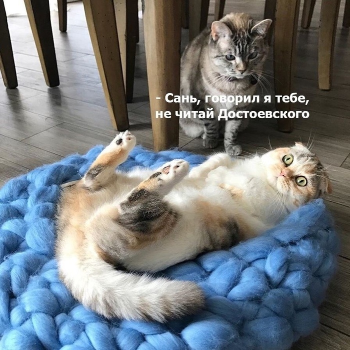 ��� �� ��� ����� �� �����))