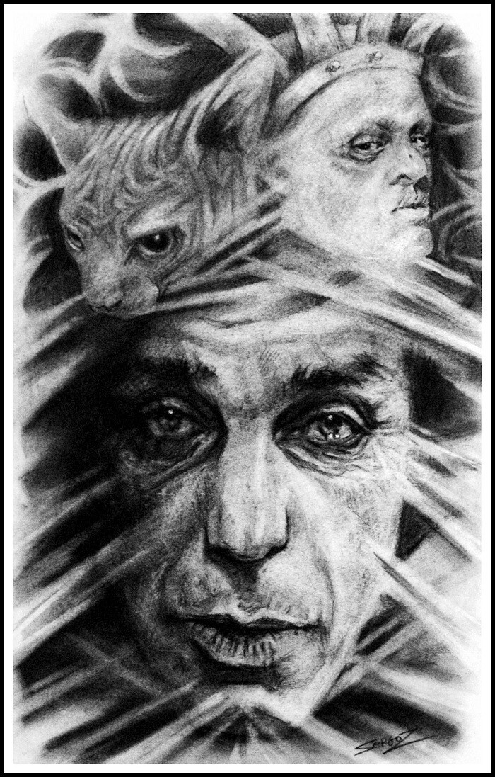 Тиль, Мелони Гайдос и кот.