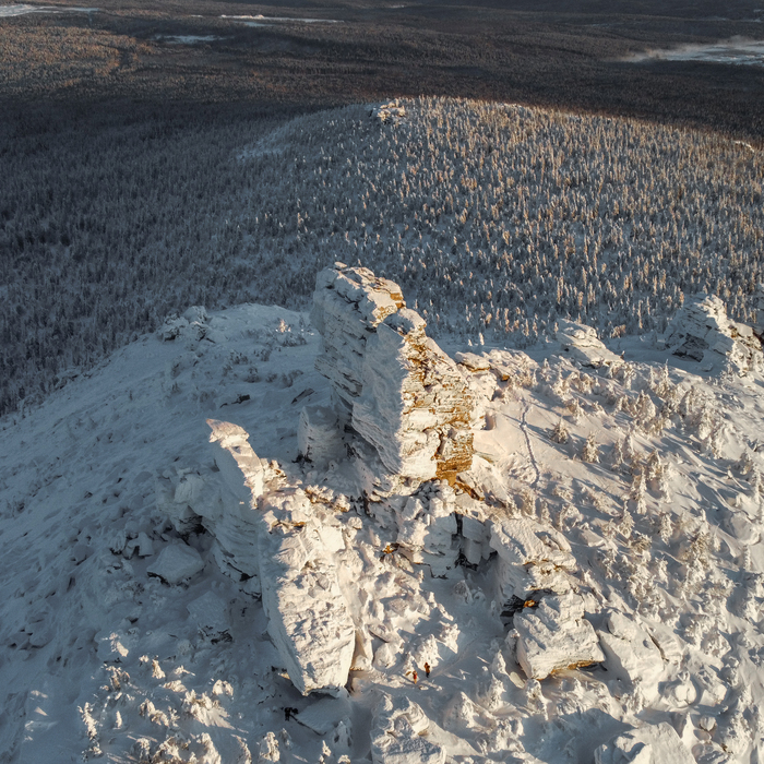 ��� ������