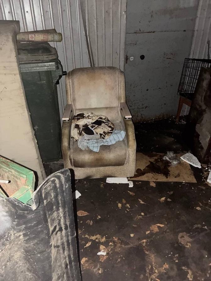 �� ����� ������