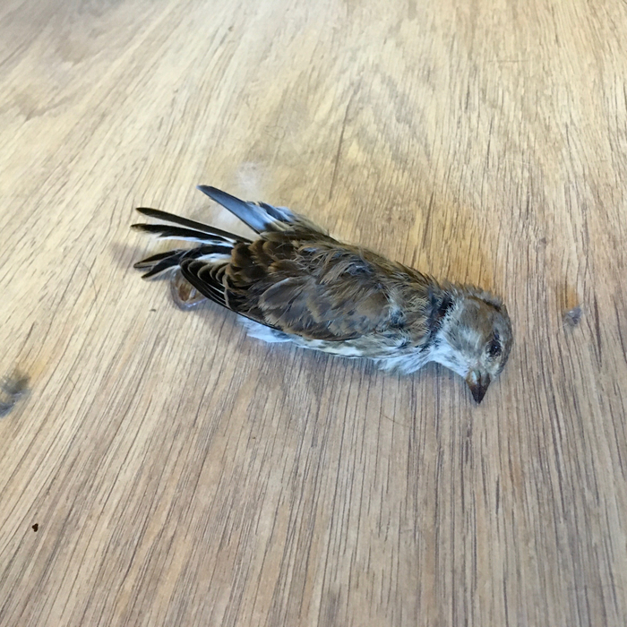 2023. RIP. ���������� ������������ ��������. ������ � ��� ������� ������, ������ �����!