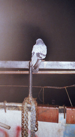 ��� ��� ����? � ���� ������ ���... ?