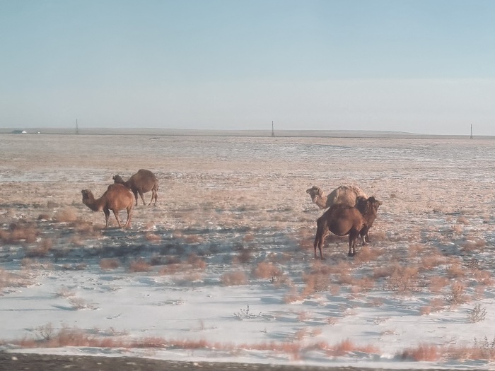 Иногда попадаются вот такие персонажа по пути.