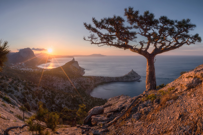 �������� �������