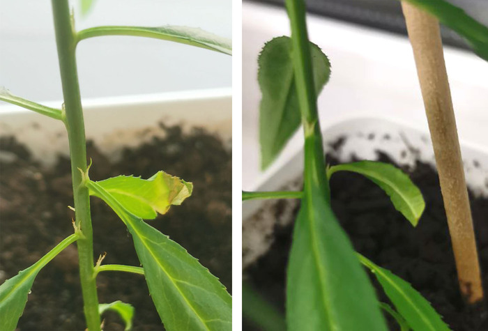 4 ������. ������� - ��� ������ ������� ���� � ��� �������� ��������....