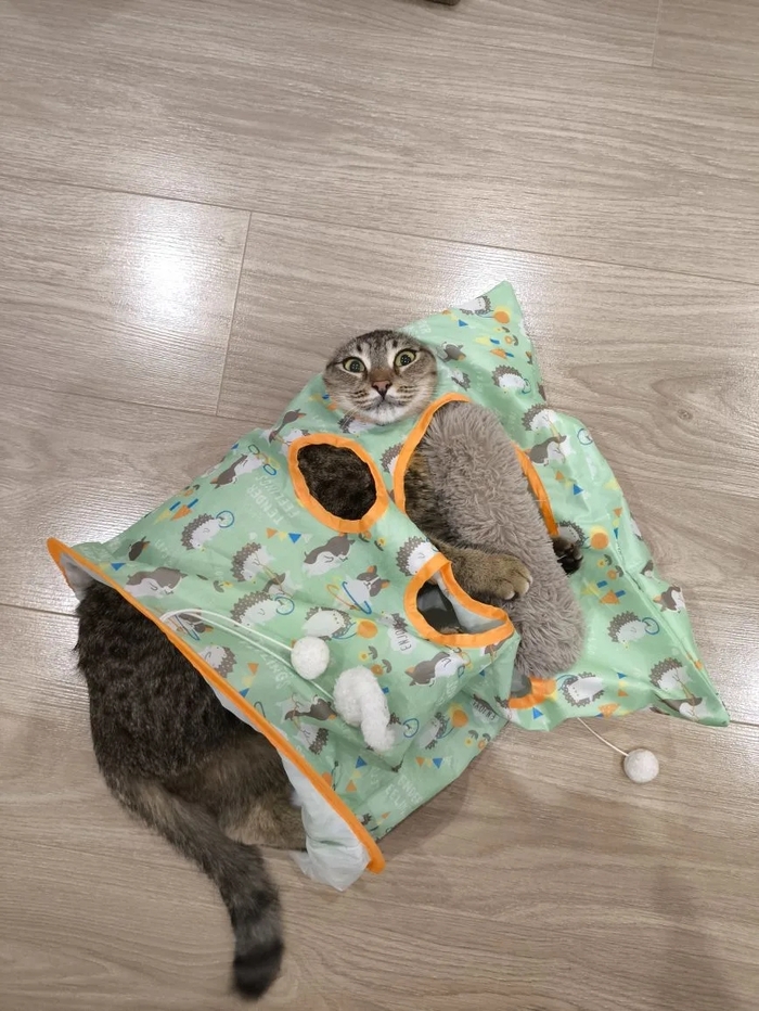 ��� ����� � �������������