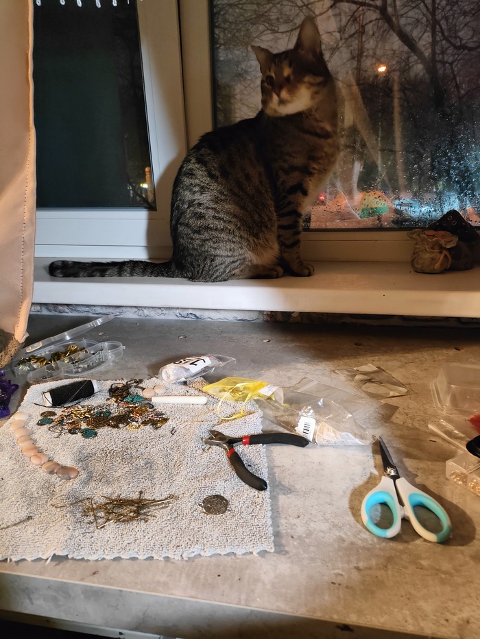 ������, ��� �������� �������� ���������...