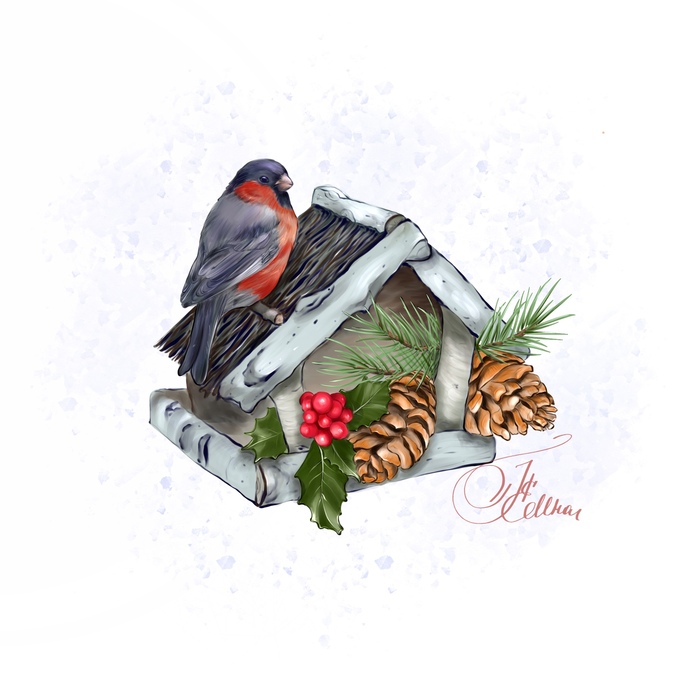 ��, ���� �����, ���� ���� �� �����! ���� ������ ������