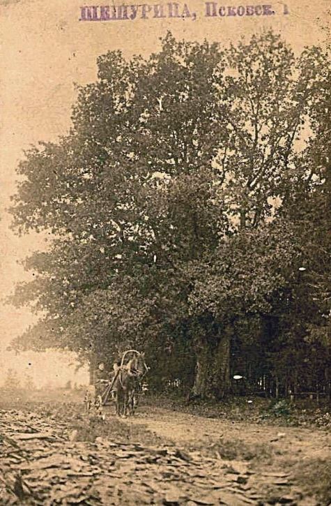 ��� ���������� ��������. ������� ��������, ����� - ���������� ��������, ���� �������� �������.