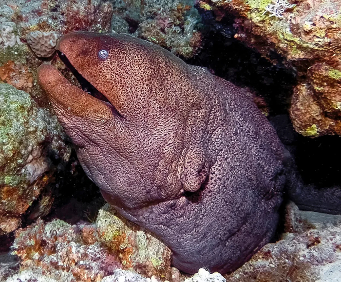 ������ � �����, ������ � ��������.