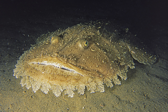 ���� �� �������? ��� ������ ���.