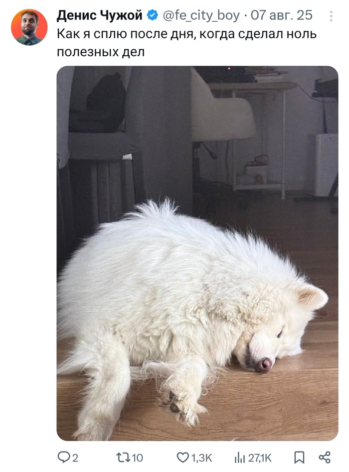 �� ���� ������ ����