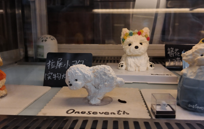 ������ ��� �������