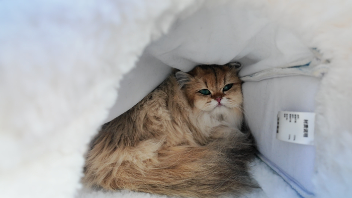 �� ��� �� ����������!!!