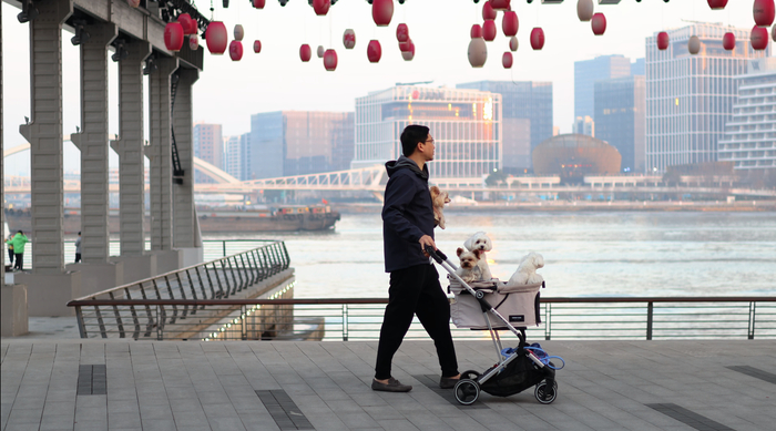 � ���������