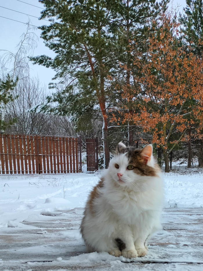 ������������ �� ����� �����: �� �����������) � ��� ��� ������, ������ ���� �����, ����� � ���� - � ��������, �� ����� ����� �� ����� ����� ������� � �����, �� ��������� - ������ �������)