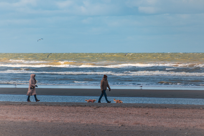 �������� ����, ��� ���� ����� ��������...