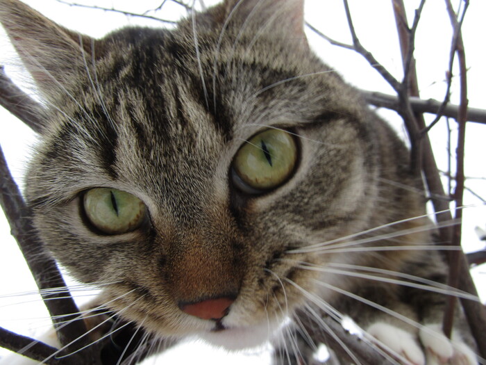 <a href="/@Murkindoma" target="_blank" rel="noopener" class="user-call" data-type="user" data-own="false" data-profile="true" data-name="Murkindoma">https://pikabu.ru/@Murkindoma</a>