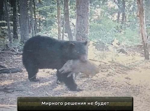 ����� ������: "��������, � ���������!"