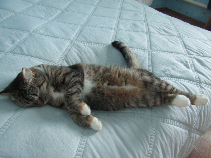 �������