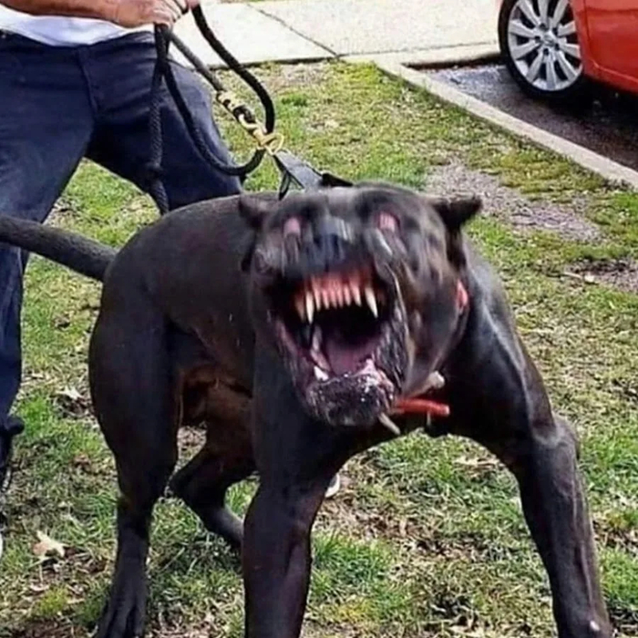 �������, � ������� ��� ���� ������!