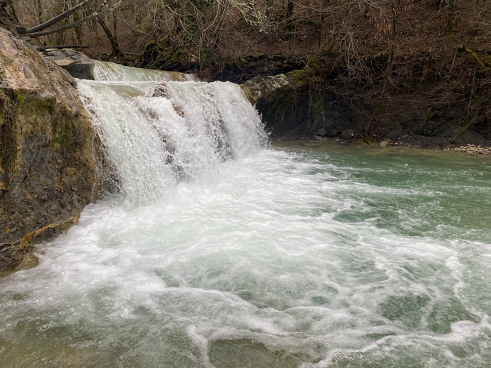 �������� ����