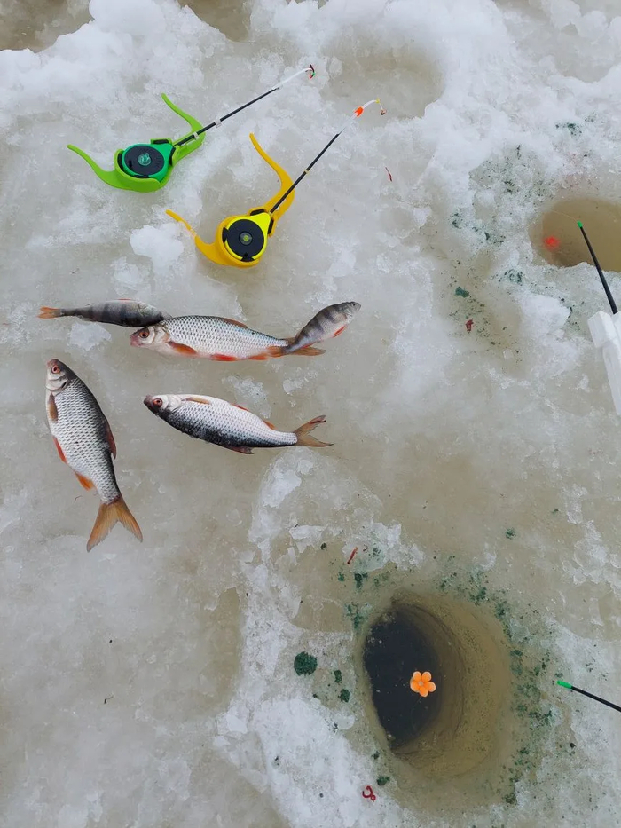 �� ����� ����� ������� ������, ����, �����, ������