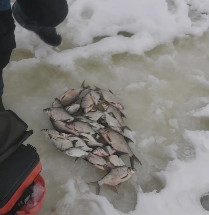 ���� ���� ���������� ������� �� 3-4 ���� ������