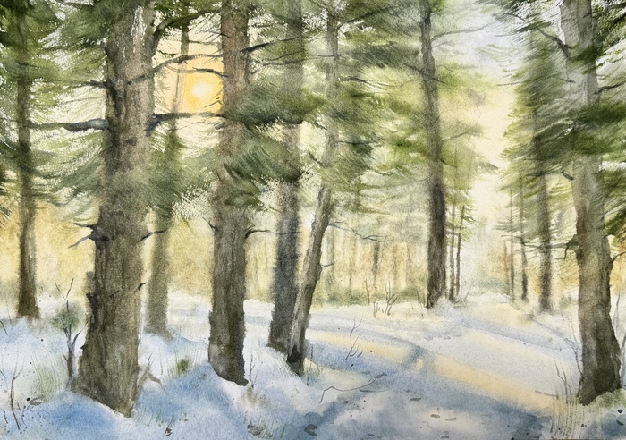 ������������ �������, �.�����, 40�30, ��������, ������ (100% ������)