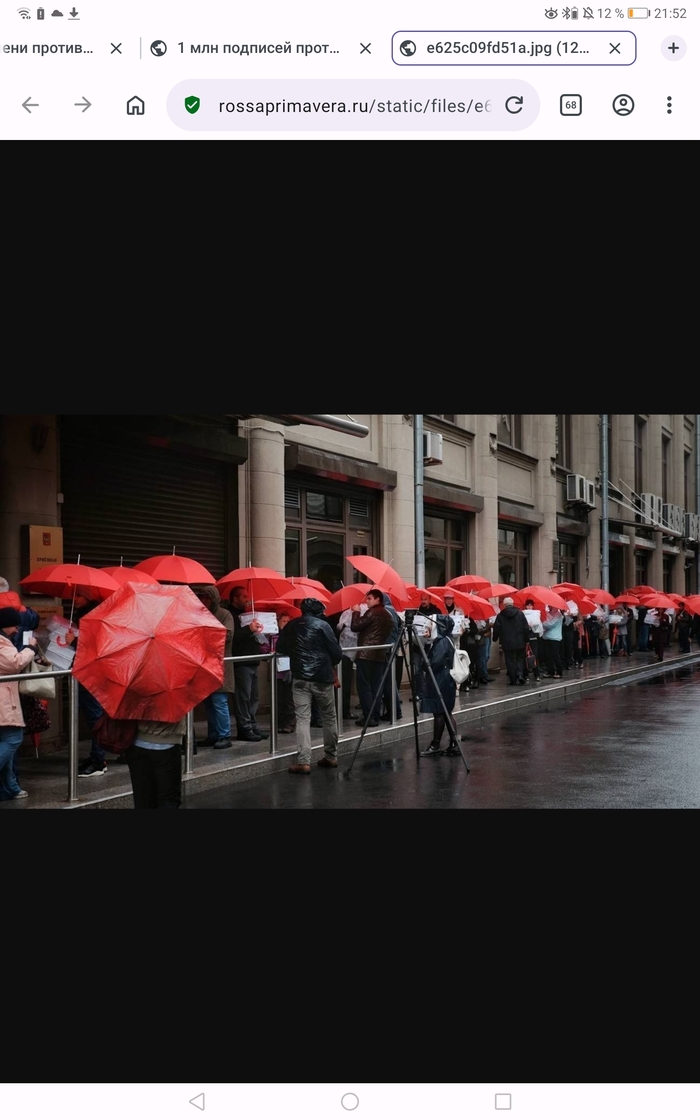 ����� Falamor � ���������� ������������� ����