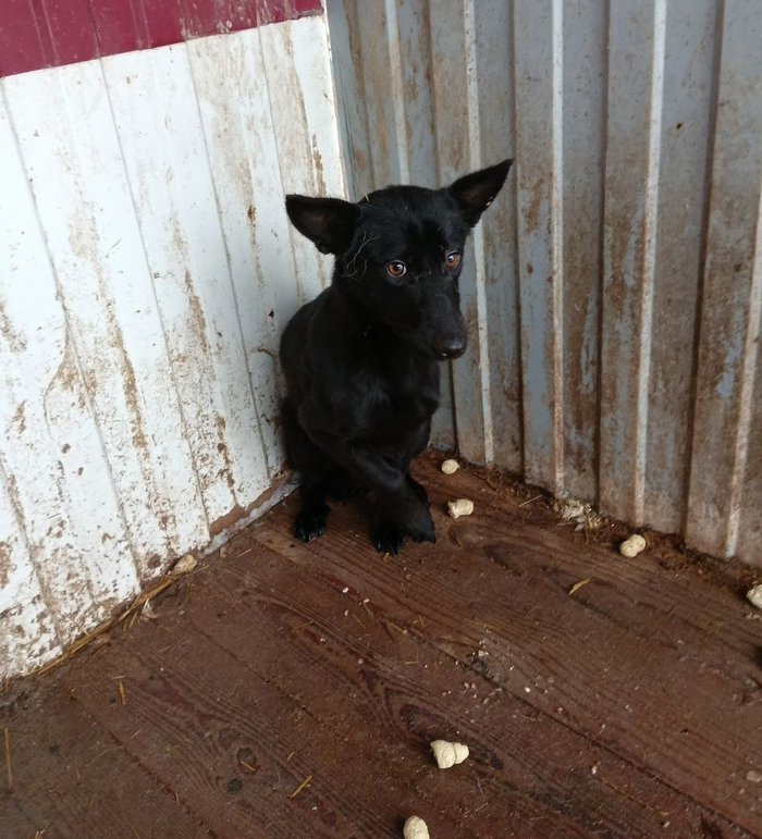 ��������� ���� � ���������� �������